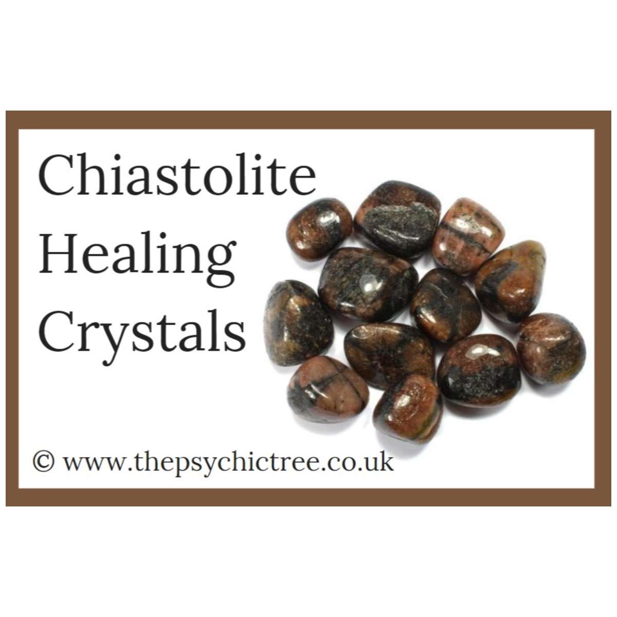Chiastolite Guide Book