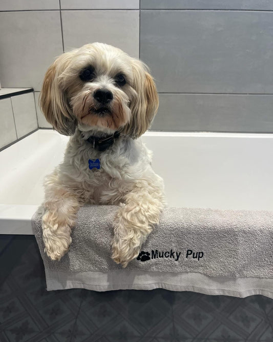 'Mucky Pup' Embroidered Pet Towel - Lots Of Colours