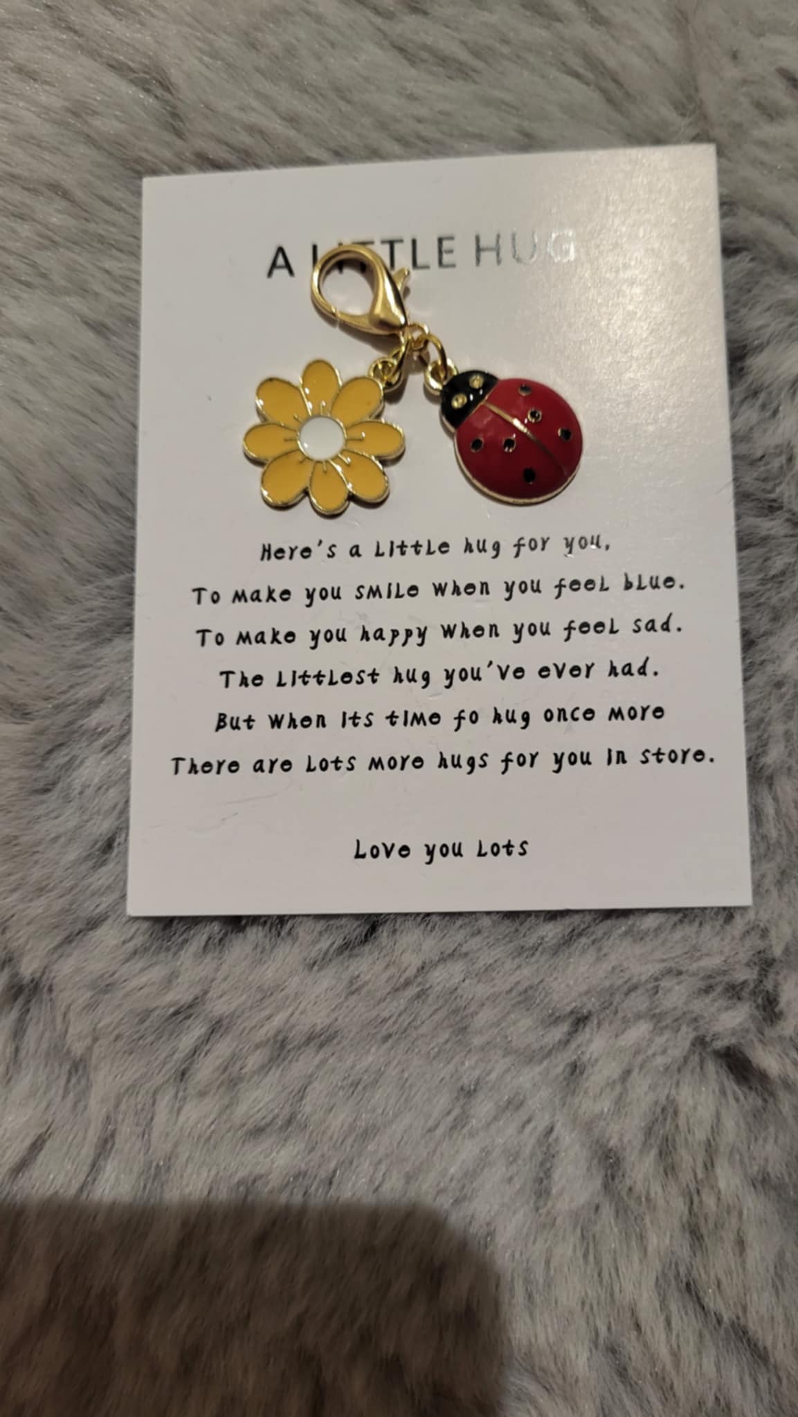 Ladybug pocket hug. Pocket hug. Comfort gift. Get well soon gift. Anxiety gift. Ladybird lovers gift. Friendship gift.