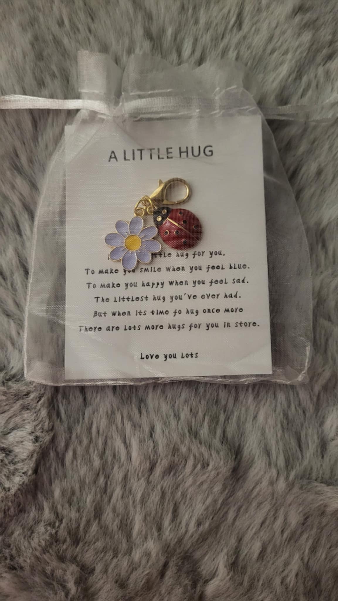 Ladybug pocket hug. Pocket hug. Comfort gift. Get well soon gift. Anxiety gift. Ladybird lovers gift. Friendship gift.