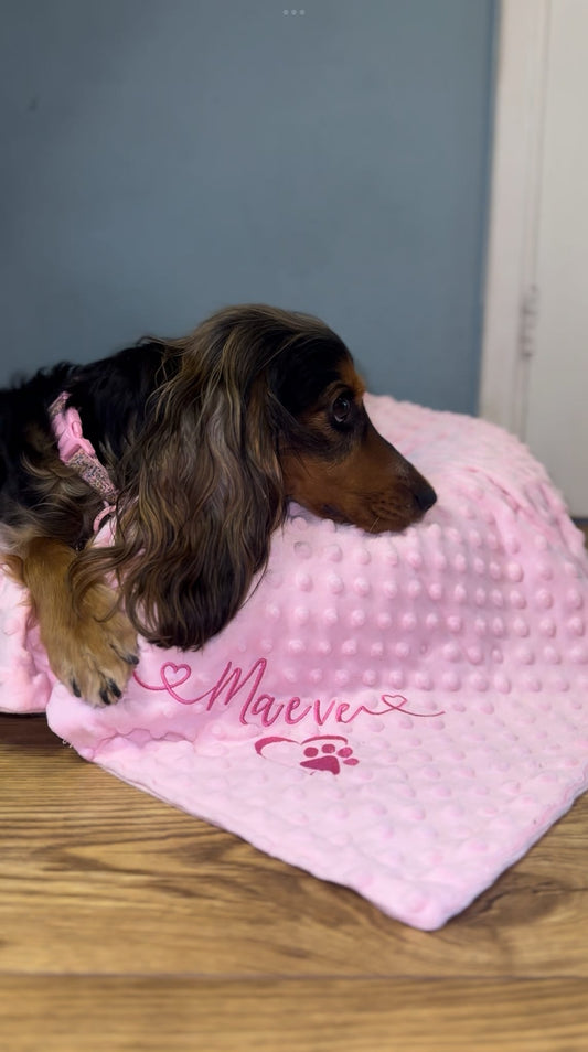 Embroidered Personalised Pet Blankets | Personalised Pet Gifts