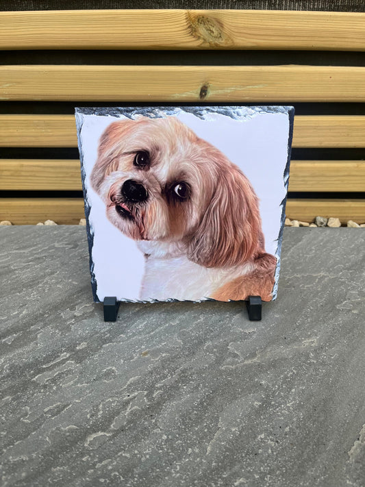 Personalised Pet Slates