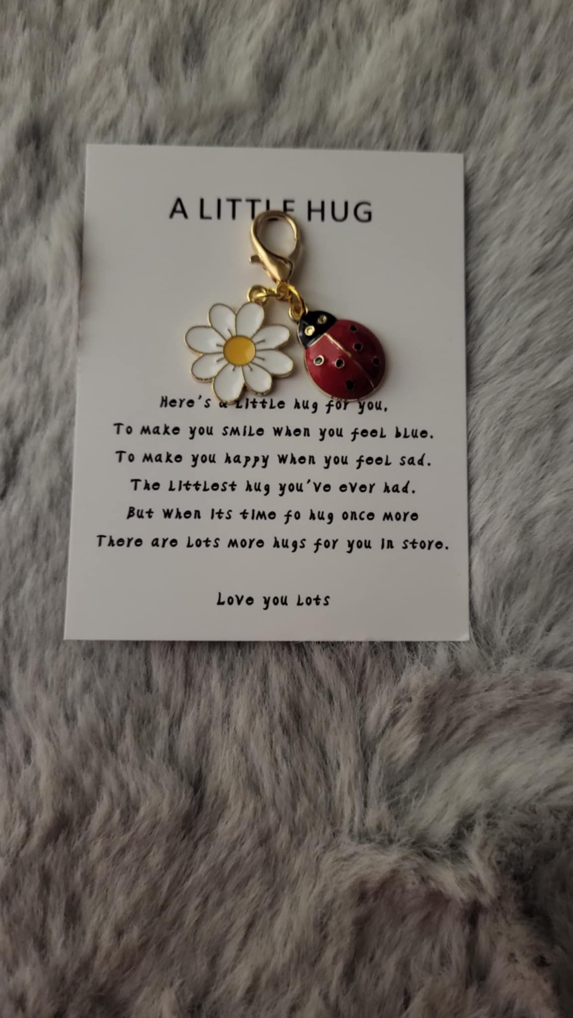 Ladybug pocket hug. Pocket hug. Comfort gift. Get well soon gift. Anxiety gift. Ladybird lovers gift. Friendship gift.