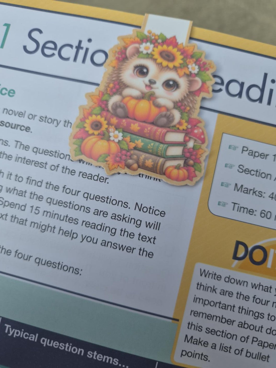 Autumn hedgehog magnetic bookmark with pumpkin, sunflowers and books