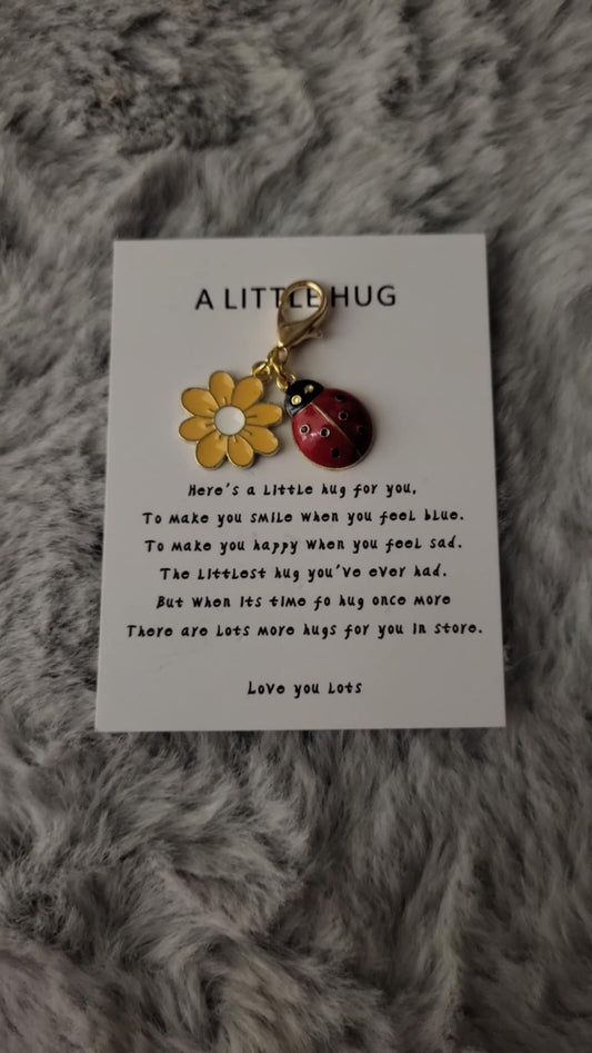 Ladybug pocket hug. Pocket hug. Comfort gift. Get well soon gift. Anxiety gift. Ladybird lovers gift. Friendship gift.